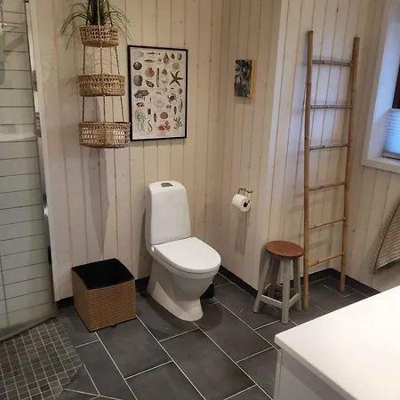 Lovely With Shelter And Nature